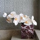 Rosso Levanto marble square vessel sculptural red marble jar by Lokah & Co used as a flower vase