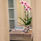 Calacatta Viola Square Marble Vessel